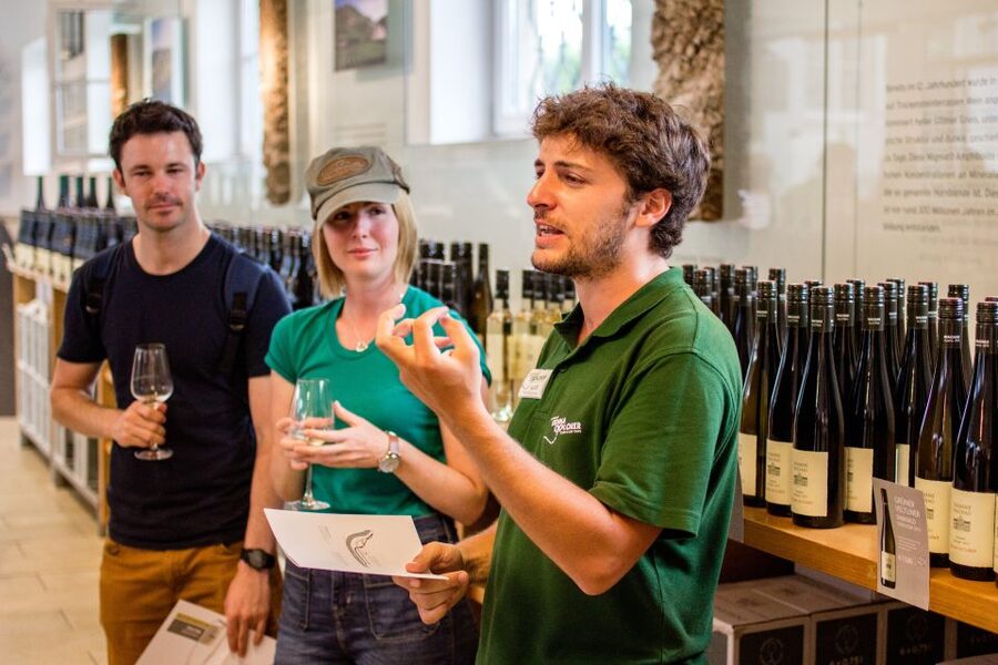 Grape Grazing: Wachau Valley Winery Biking Tour - Is $163 a fair price?