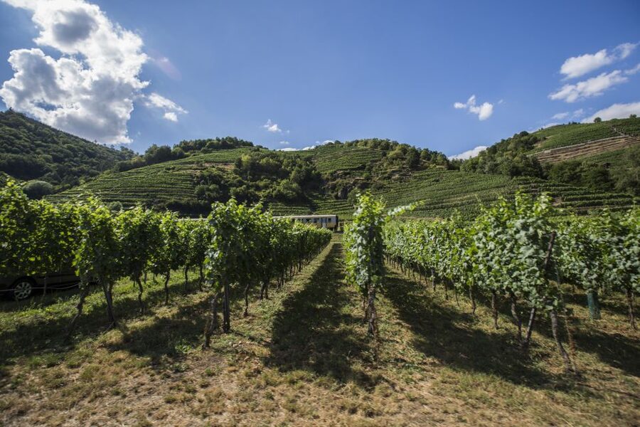 Grape Grazing: Wachau Valley Winery Biking Tour - Krems starts the 25-kilometer ride