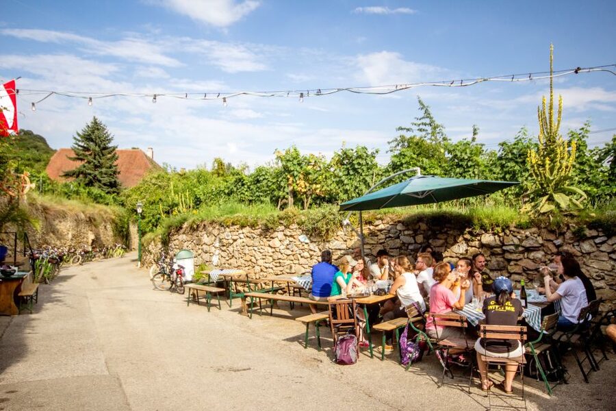Grape Grazing: Wachau Valley Winery Biking Tour - Lunch in a family-run tavern