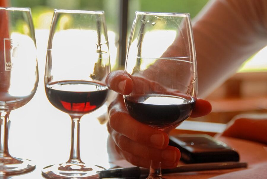 Grasse, Valbonne & Gourdon: Day Tour with Wine Tasting - Price, group size, and what you receive
