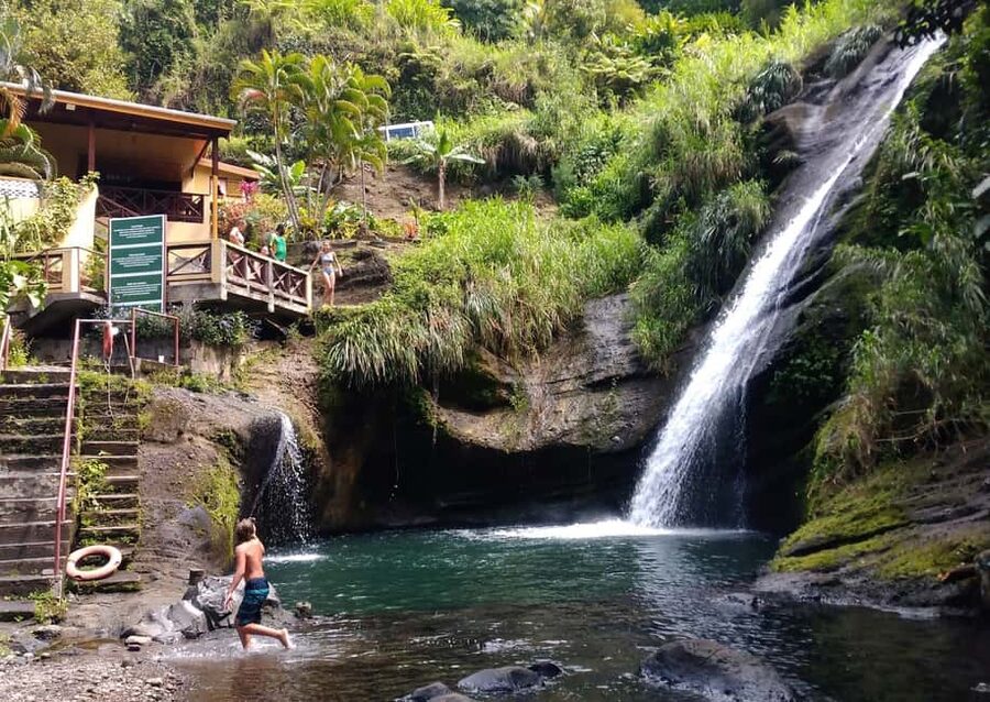 Grenada: Culture and Nature Island Tour with Chocolate & Rum - Grand Etang rainforest and the island’s cool interior
