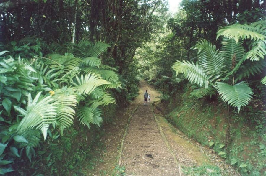 Grenada: Culture and Nature Island Tour with Chocolate & Rum - Annadale Falls: bring swimwear and a towel