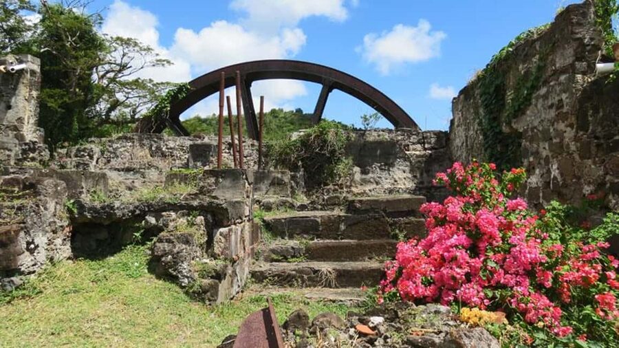 Grenada: Culture and Nature Island Tour with Chocolate & Rum - Chocolate tasting and how cocoa becomes a treat
