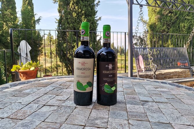 Greve in Chianti Wine Tasting and Winery Tour - A family winery above the Chianti vineyards