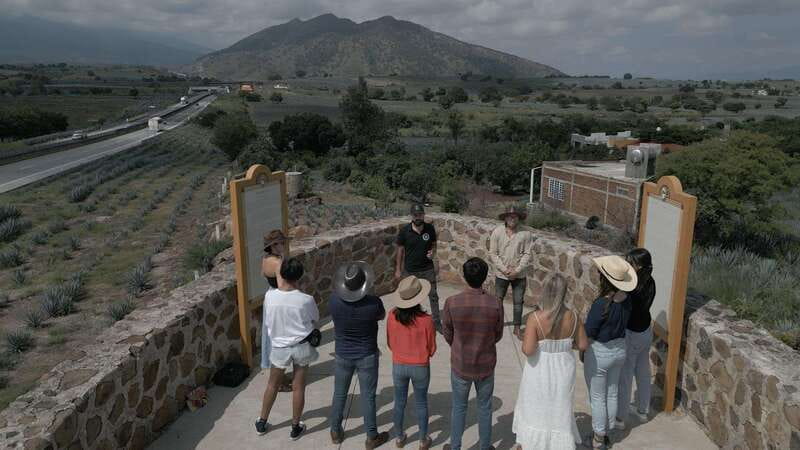Guadalajara: Premium Tequila Tour with Tastings and Pairings - Why this tequila day trip works