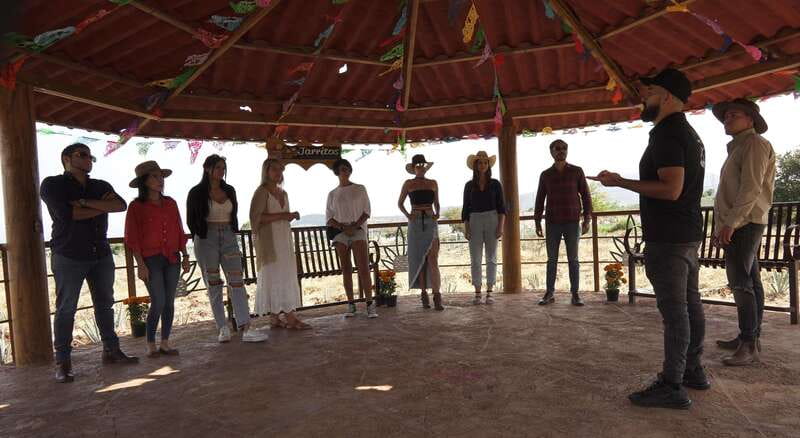 Guadalajara: Premium Tequila Tour with Tastings and Pairings - Meeting in Guadalajara and riding to the agave fields