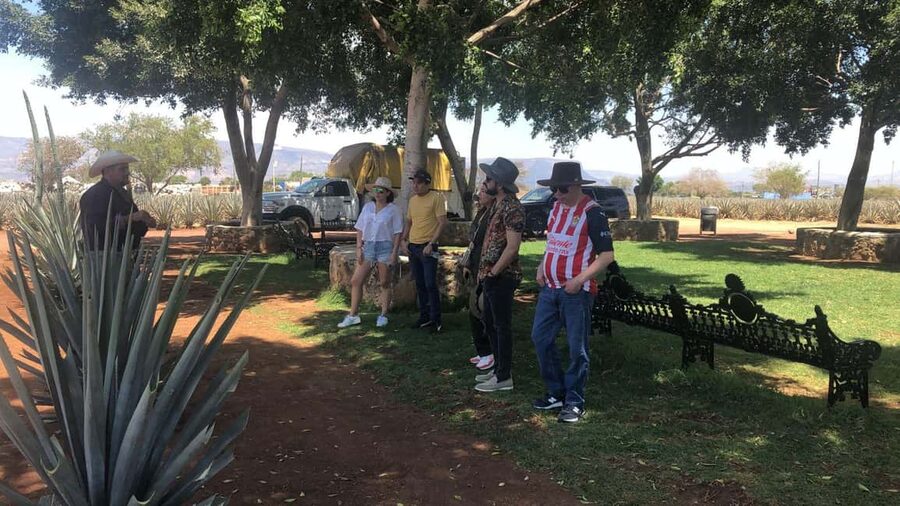 Guadalajara: Tequila Day Trip with Jose Cuervo Option - Final call: choose your priority