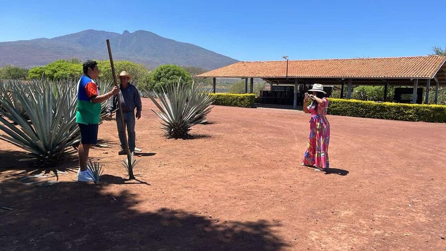 Guadalajara: Tequila Day Trip with Jose Cuervo Option - From Guadalajara to Jalisco’s agave fields