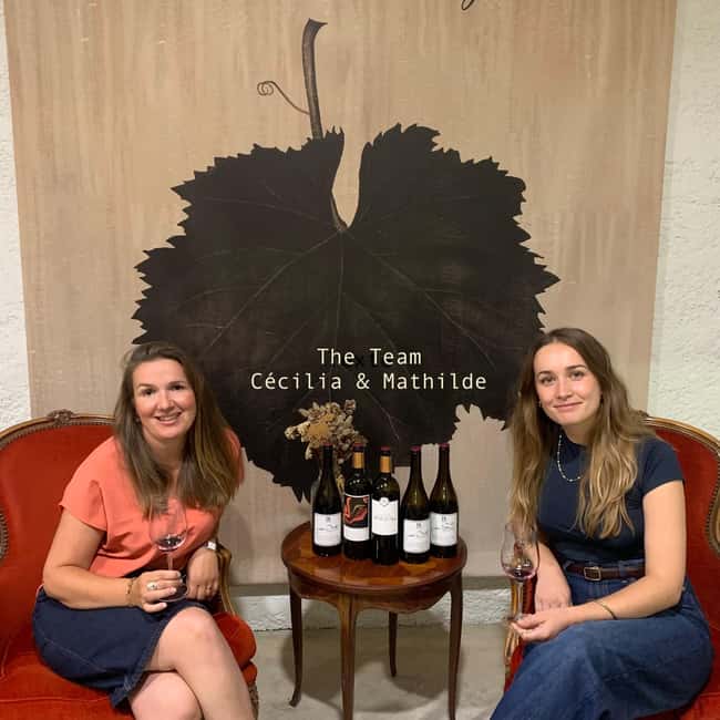 Guided Bordeaux Wine Tasting Class with 6 Wines and pairings - Price, timing, and who gets good value