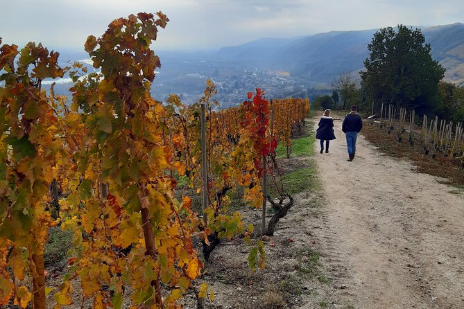 Guided tour and wine tasting Northern Rhône Valley - Key points to know before booking