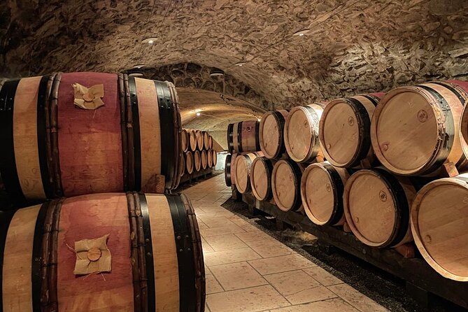 Guided tour and wine tasting Northern Rhône Valley - Condrieu and the steep vineyard slopes