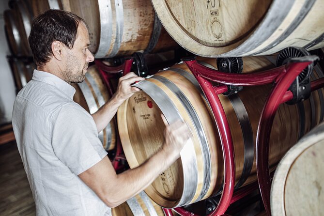 Guided winery tour with tasting in Bolzano at the SKYWINE PAVILLON - Why the small group improves the visit