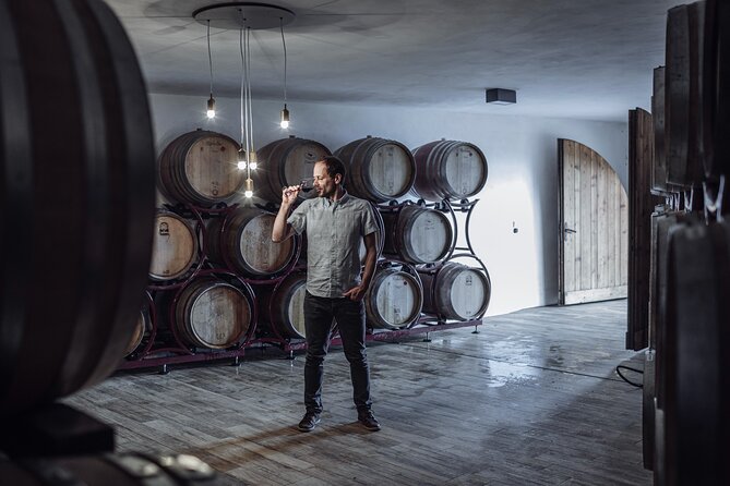 Guided winery tour with tasting in Bolzano at the SKYWINE PAVILLON - Natural winemaking in the cellar