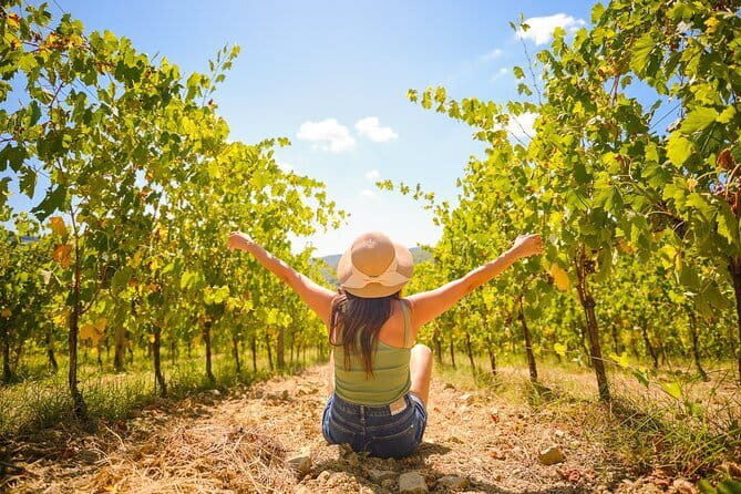 Half day Chianti Vineyard Escape from Florence with Wine Tastings - The countryside views depend on your departure time