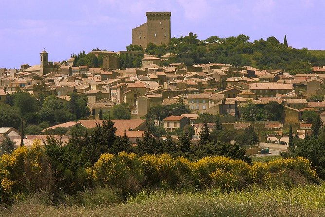 Half Day Great Vineyard Tour from Avignon - The small-group format is worth paying for