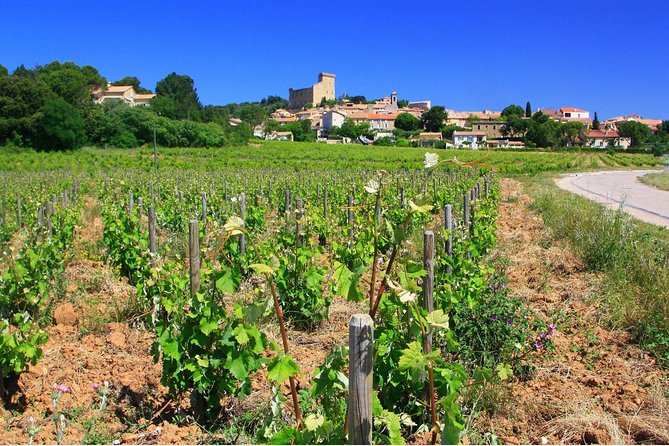 Half Day Great Vineyard Tour from Avignon - The two-tasting promise and the route’s limits