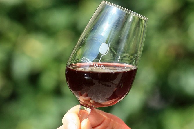 Half Day Great Vineyard Tour from Avignon - Who should book this tour?