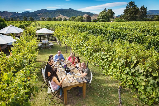 Half-Day Marlborough Wine Tour & Beer Tour - Hunter’s Wines, gardens, and outdoor tasting