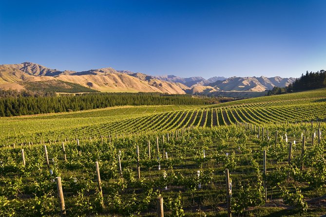 Half-Day Marlborough Wine Tour & Beer Tour - Allan Scott and the question of route flexibility