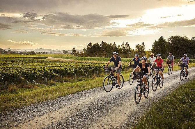 Half-Day Marlborough Wine Tour & Beer Tour - What the guides add to the day