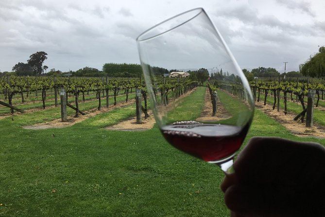 Half-Day Marlborough Wine Tour & Beer Tour - Saint Clair and the vineyard lunch stop
