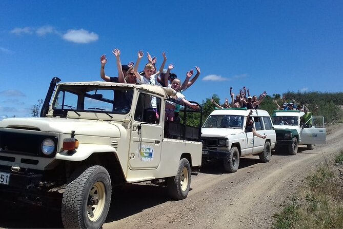 Half Day Safari Tour with Wine Tasting - A little more than cork and wine