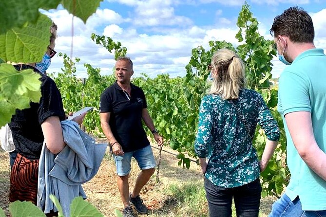 Half Day Safari Tour with Wine Tasting - Booking, cancellation, and timing advice