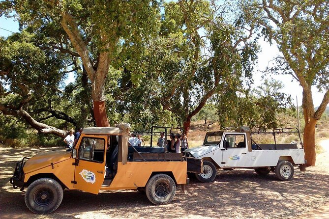 Half Day Safari Tour with Wine Tasting - Cork trees and the work behind the stopper