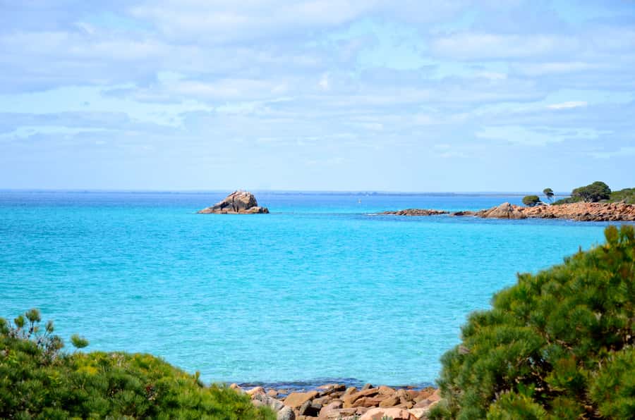 Half day Wine and Sights Discovery Tour Busselton - Local commentary adds more than a list of place names