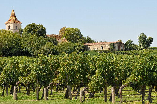 Half-Day Wine tour across Bordeaux’s Vineyards - What changes on Médoc, Graves, or Blaye days