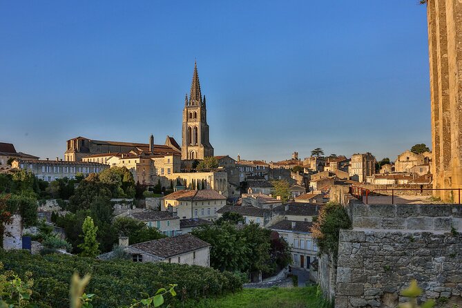 Half-Day Wine tour across Bordeaux’s Vineyards - Food, weather, and useful things to bring