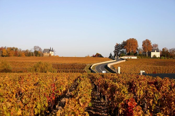 Half-Day Wine tour across Bordeaux’s Vineyards - Should you book the $70.81 afternoon?