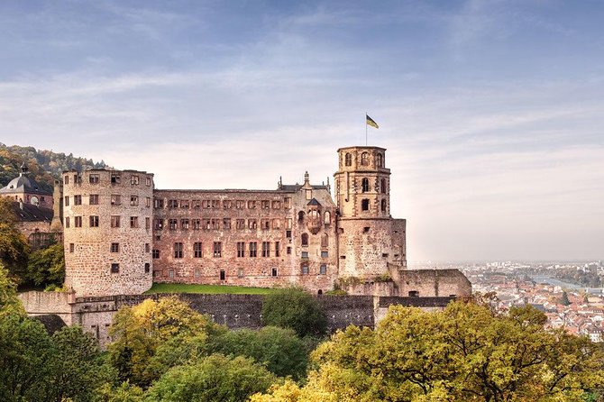 Heidelberg and Rhine Valley Day Trip With Wine Tasting and Dinner from Frankfurt - A big German day from Frankfurt