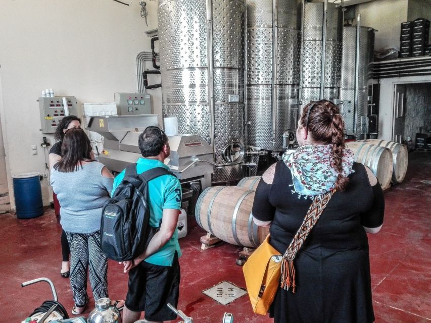 Heraklion: Cretan Wine Tasting Tour & Gourmet Lunch - Is $194 a fair price?