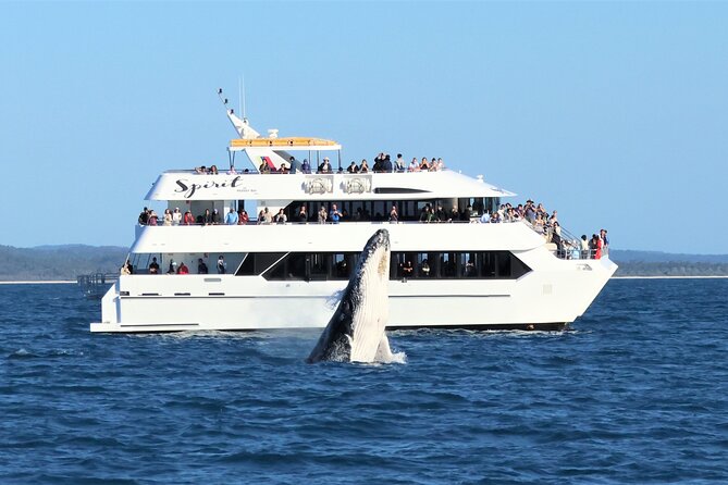 Hervey Bay Champagne Sunset Sail - Who should book this sail?