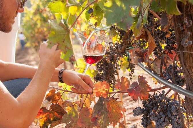 High-End Vineyard Escape: Cava, Tapas & Wine | Private Tour - Leaving Barcelona in a private vehicle