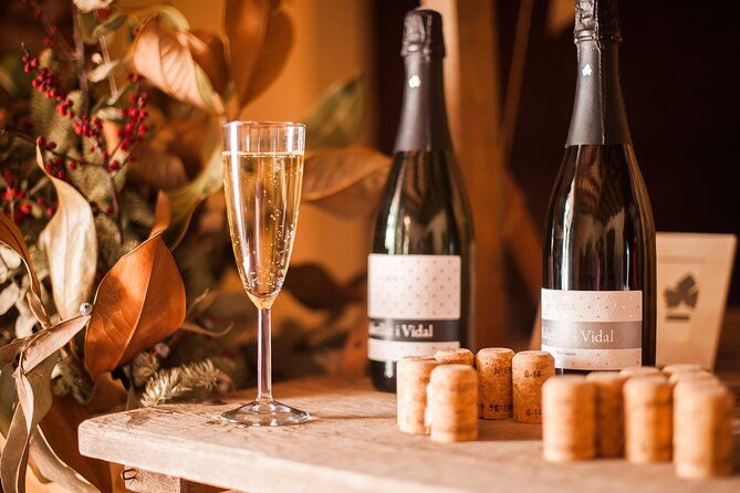 High-End Vineyard Escape: Cava, Tapas & Wine | Private Tour - Oller del Mas and the castle setting