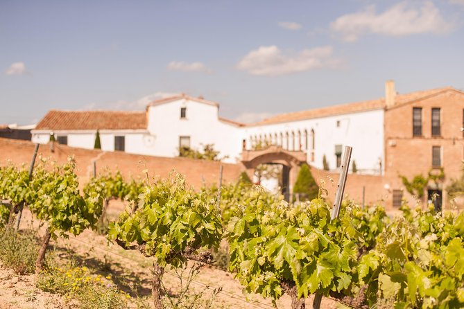 High-End Vineyard Escape: Cava, Tapas & Wine | Private Tour - Is $598.87 per person a fair price?