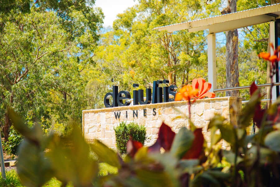 Hunter Valley: Wine, Spirits, and Cheese Tour with Lunch - The behind-the-scenes production visit