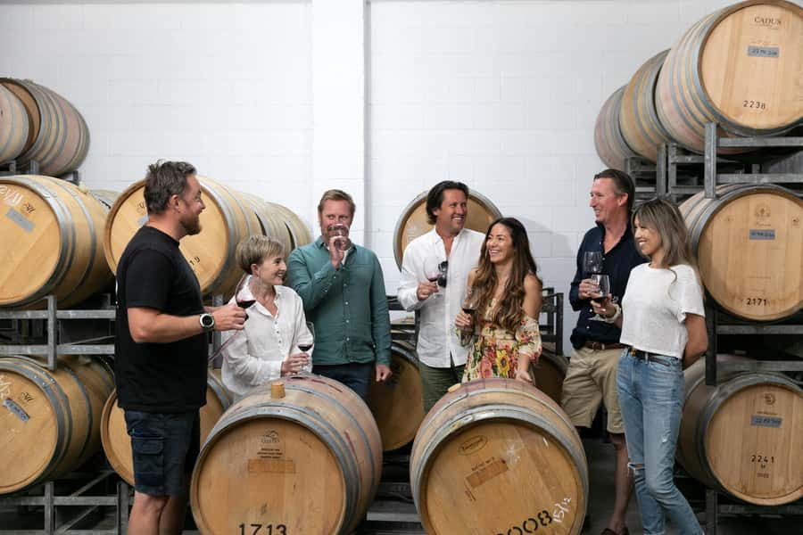 Hunter Valley: Wine Tour with 2-Course Lunch, Choc & Cheese - Why this Sydney to Hunter Valley day trip works