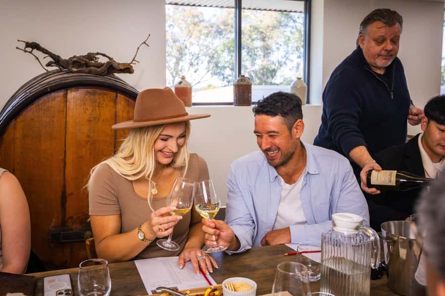 Hunter Valley: Wine Tour with 2-Course Lunch, Choc & Cheese - Audrey Wilkinson and the Brokenback Range views