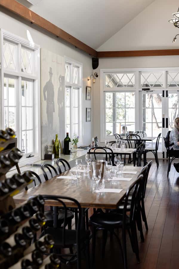 Hunter Valley: Wine Tour with 2-Course Lunch, Choc & Cheese - The return to Sydney