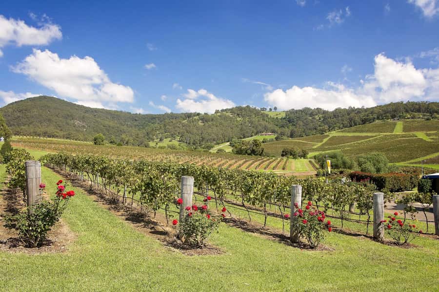 Hunter Valley: Wine Tour with 3 Tastings and Garden Lunch - Lunch at Cypress Lakes and time in the village