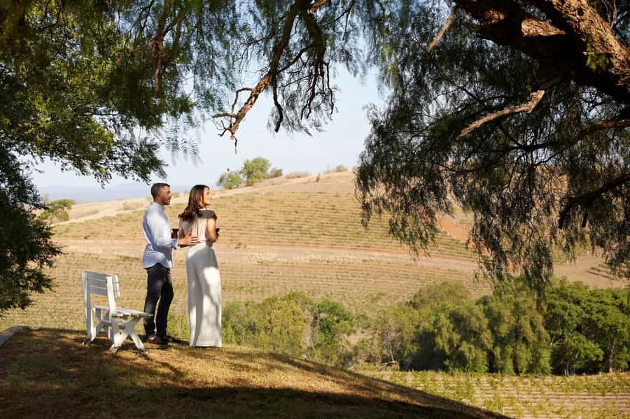 Hunter Valley: Wine Tour with 3 Tastings and Garden Lunch - How the $166 price holds up