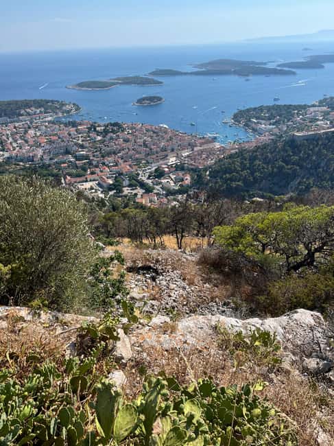 Hvar: Hvar Wine Tasting Experience - What makes this Hvar wine tour worth your afternoon