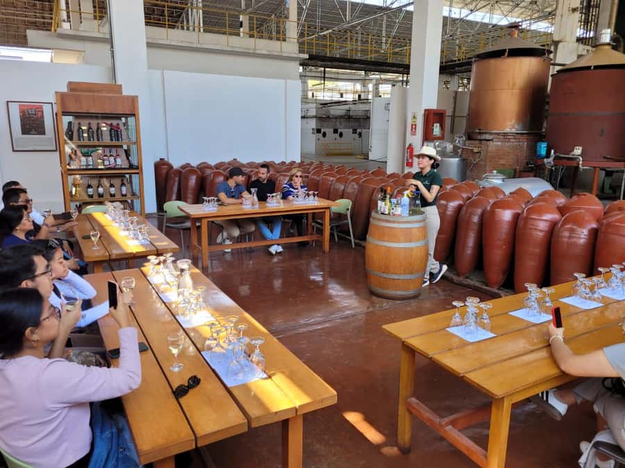 ICA: Pisco and Wine Route with tasting in 03 Wineries - Key points to know before booking