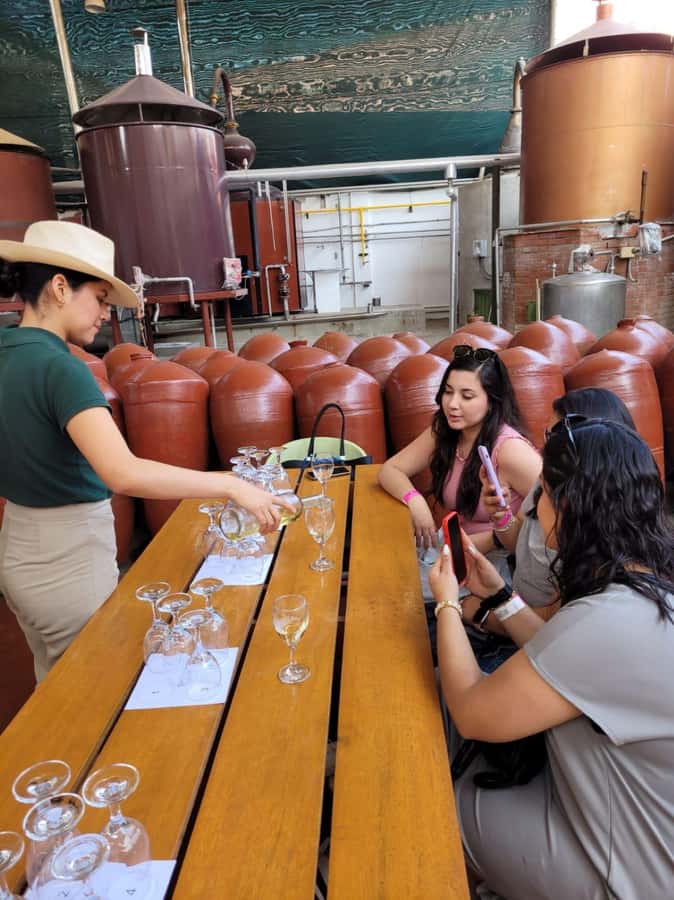 ICA: Pisco and Wine Route with tasting in 03 Wineries - Why Ica is the right place for a pisco day