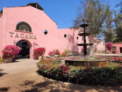 ICA: Pisco and Wine Route with tasting in 03 Wineries