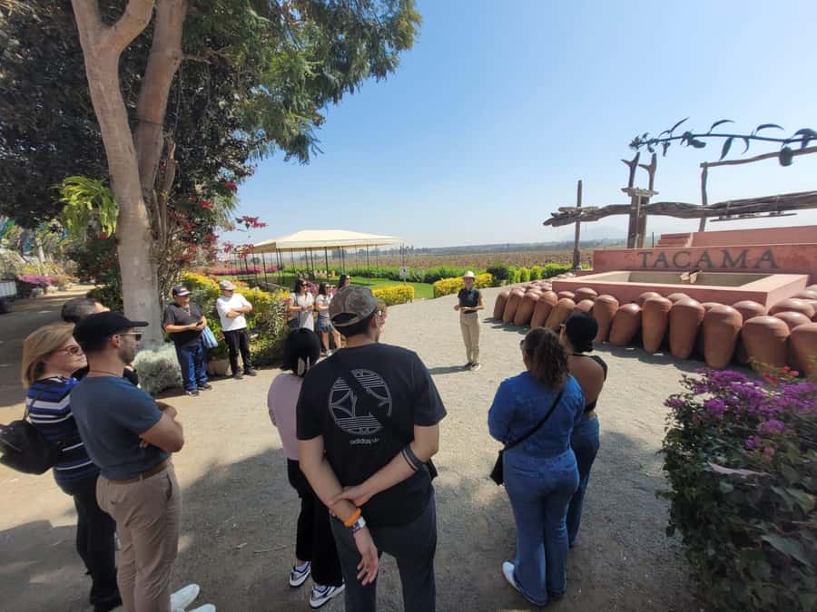ICA: Pisco and Wine Route with tasting in 03 Wineries - How grapes become pisco