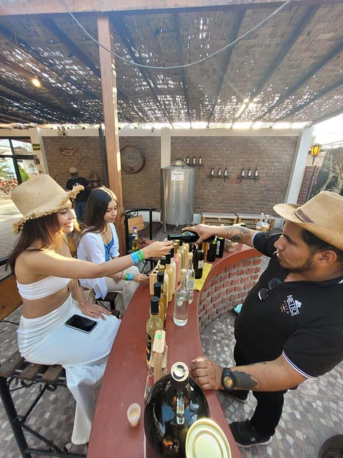 ICA: Pisco and Wine Route with tasting in 03 Wineries - The first and second tasting sessions